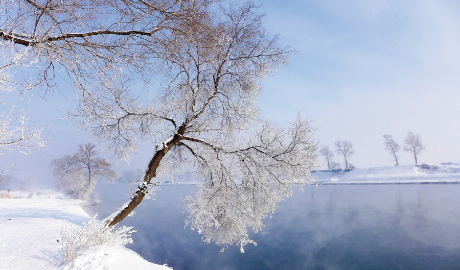 雾凇岛上奇独的树形挂满洁白晶莹、银光闪烁的冰花（吉林省雾凇岛）.jpg