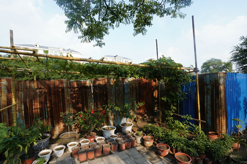 20190710_ORG__PHO0669.JPG