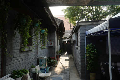 20190710_ORG__PHO0671.JPG