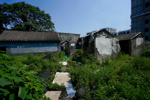 20190712_ORG__PHO1364.JPG