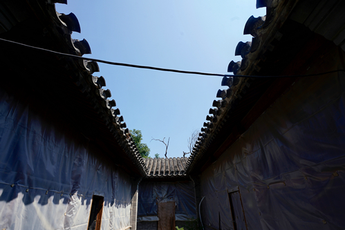 20190712_ORG__PHO1378.JPG