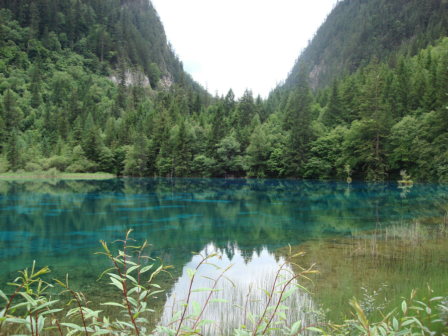 DSC08779.jpg