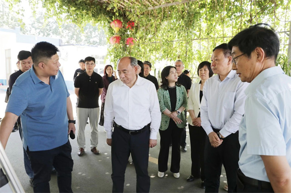 京华议事厅｜聚焦农村供水保障 共绘乡村发展新图景.jpg