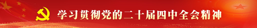 学习贯彻党的二十届四中全会精神